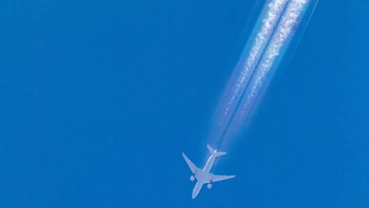 Фото: globallookpress.com