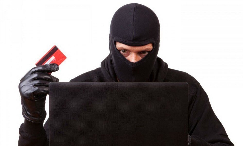 Фотография взята из интернета в свободном доступе.