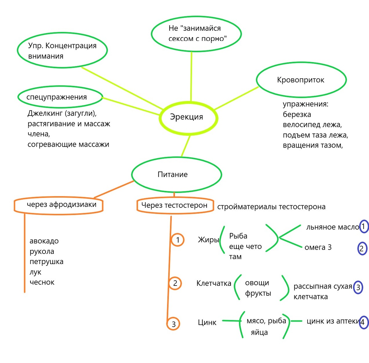 то от чем можно повлиять на эрекцию