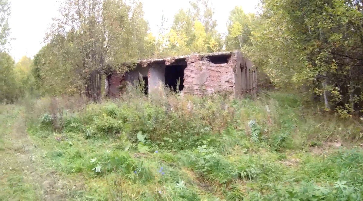 Крупно повезло  Нашли кучу бункеров в лесу
