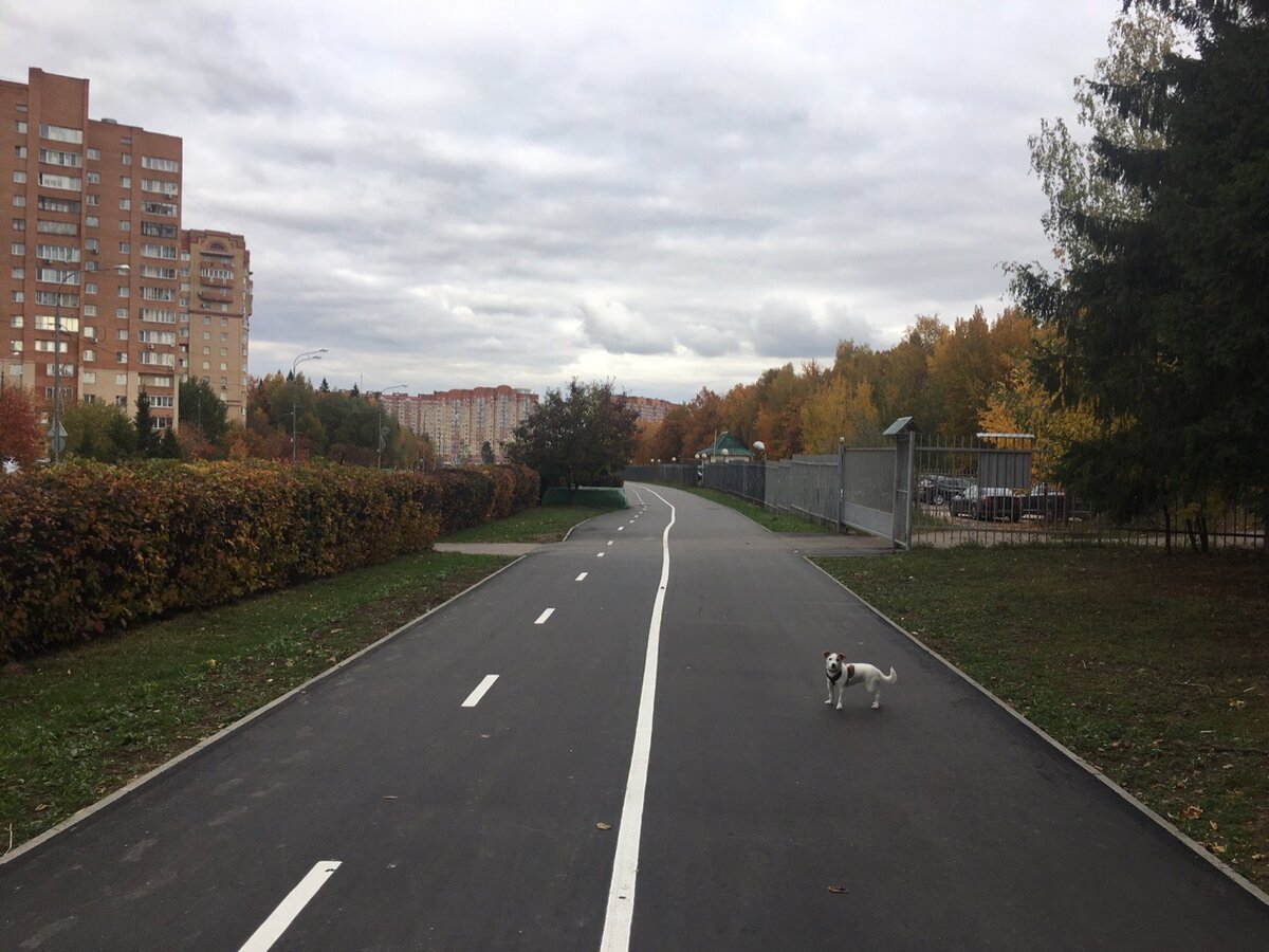 И он нашел несколько велодорожек