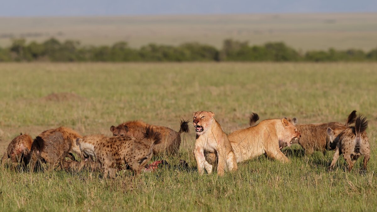 Картинка взята с Яндекс.Картинки
