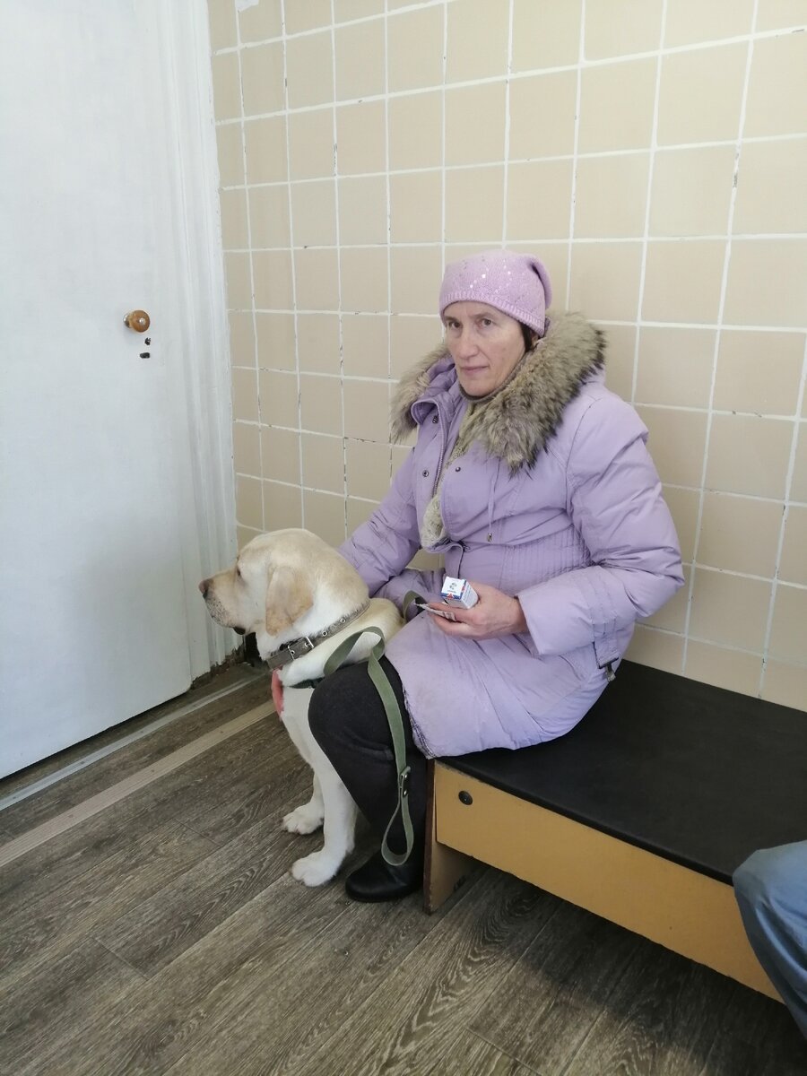 Жмётся со страху к хозяйке