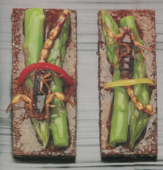 Хмельные скорпионы