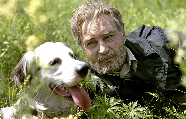 Скриншот из фильма «Белый Бим Чёрное ухо» (1977)