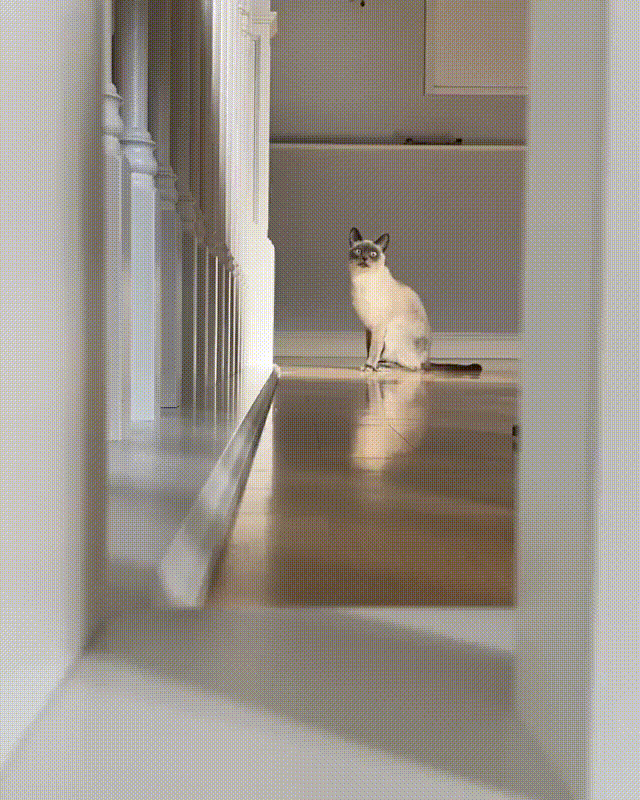 Взято с Instagram