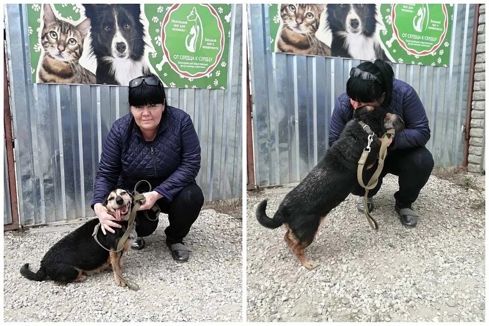 Фотография сделана волонтерами приюта.