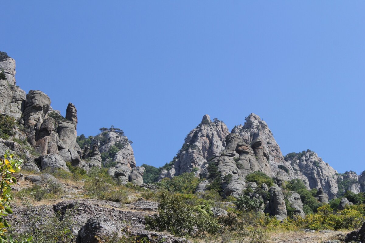 подписывайтесь на канал и спасибо за лайк