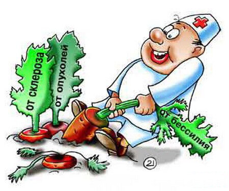 фото из сети