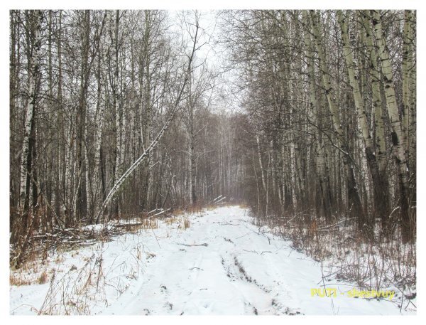 Остатки Сибирского тракта