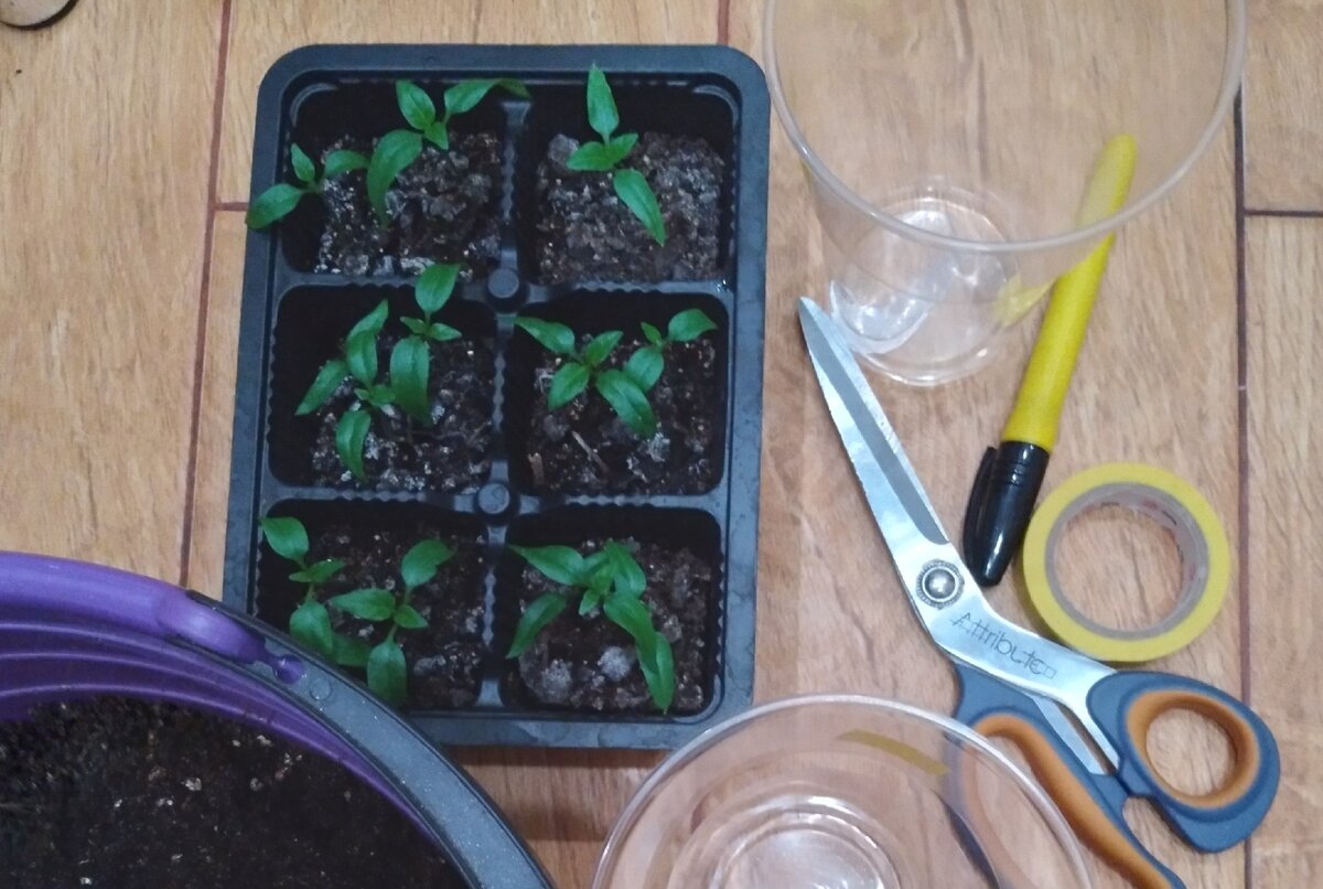 личное фото