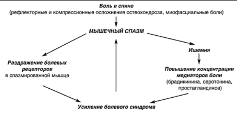 Мышечные спазмы симптомы и лечение. Спазмированные мышцы. Спазм мышечных волокон. Спастическое сокращение мышц. Спазм мышцы позвоночника.