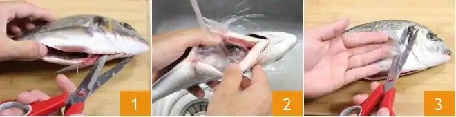 Чтобы сделать морского леща в фольге, если у вас есть неочищенный морской лещ, действуйте следующим образом: ножницами сделайте разрез на животе и продвигайтесь прямо вверх под головой 1, затем удалите внутренности. Хорошо промойте брюшко рыбы под проточной водой 2, чтобы удалить оставшиеся следы крови. Всегда ножницами сначала отрежьте боковой плавник около головы 3, затем отрежьте хвостовой плавник, расположенный под животом, и спинной плавник. Переверните рыбу на противоположную сторону и удалите другие боковые и хвостовой плавники. С помощью подходящего инструмента для удаления чешуи или лезвия ножа осторожно масштабируйте морского леща, неоднократно проводя инструментом от хвоста к голове. Снова пропустите морского леща под проточной водой, тщательно вымыв даже снаружи.