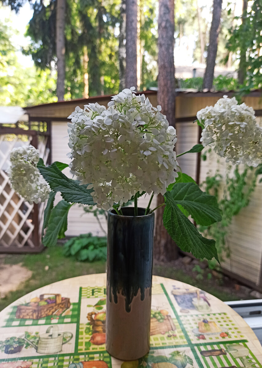 Рига. Лето 1975-го года. Художественный салон. Купила, не задумываясь.