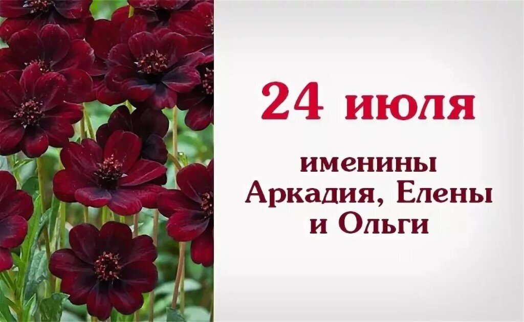 24 июля именины ольги картинки