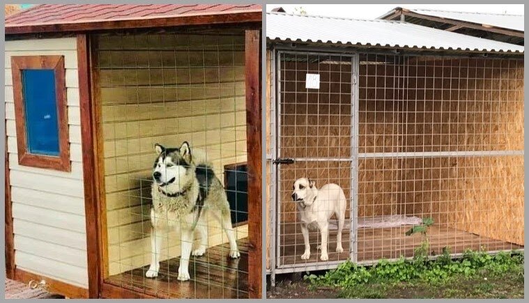 Вольеры для собак - фото, размеры и изготовление | Уличные вольеры | Pet-Yes