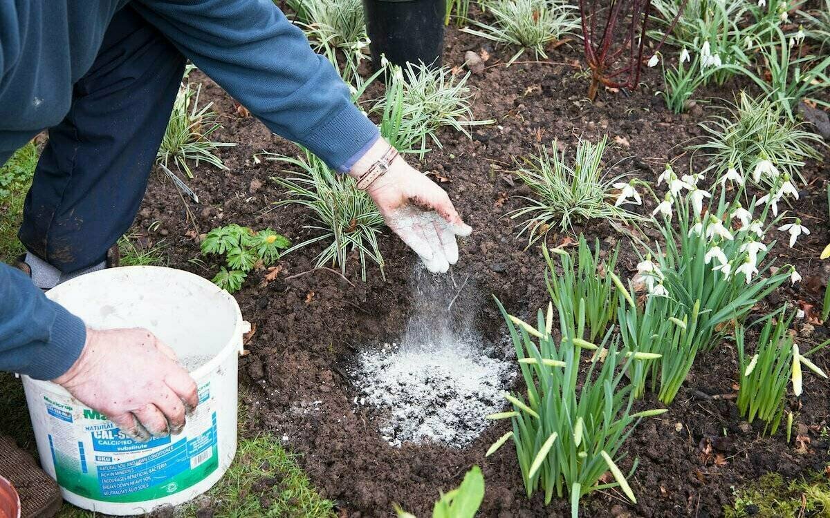 Добавьте описание