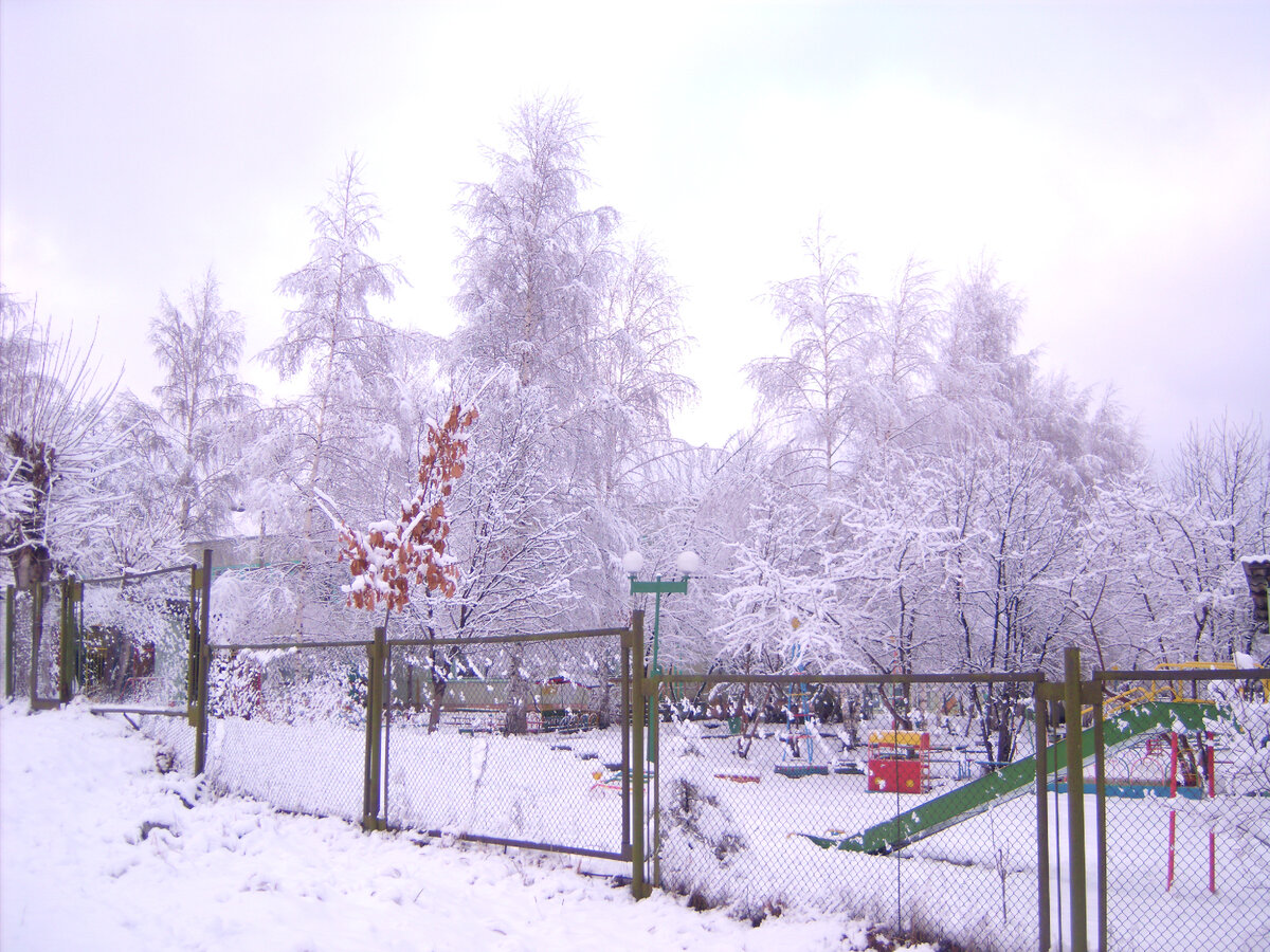 Фото автора