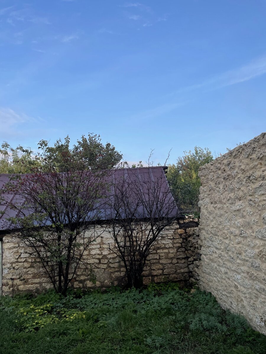 Липецкая область 