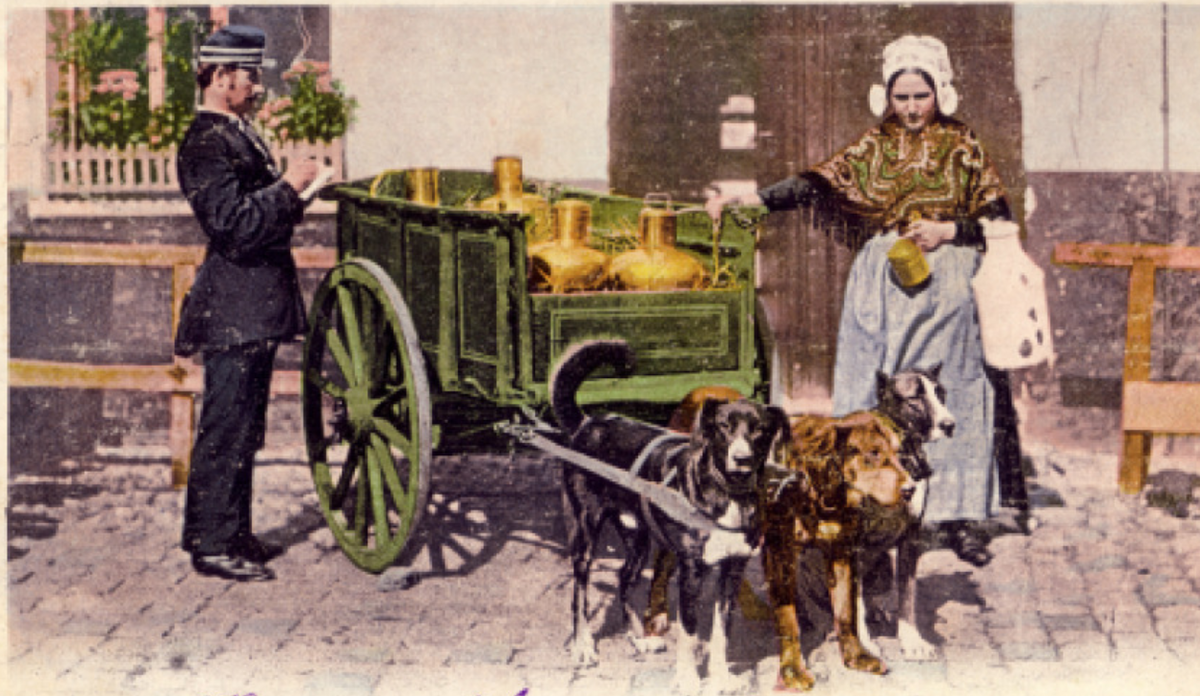Открытка 1902 года. cagnet.be