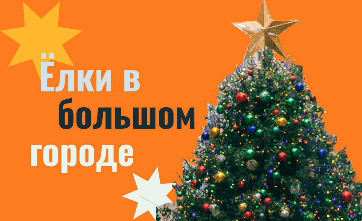 Главные городские елки: утилизация и вторичное использование 
