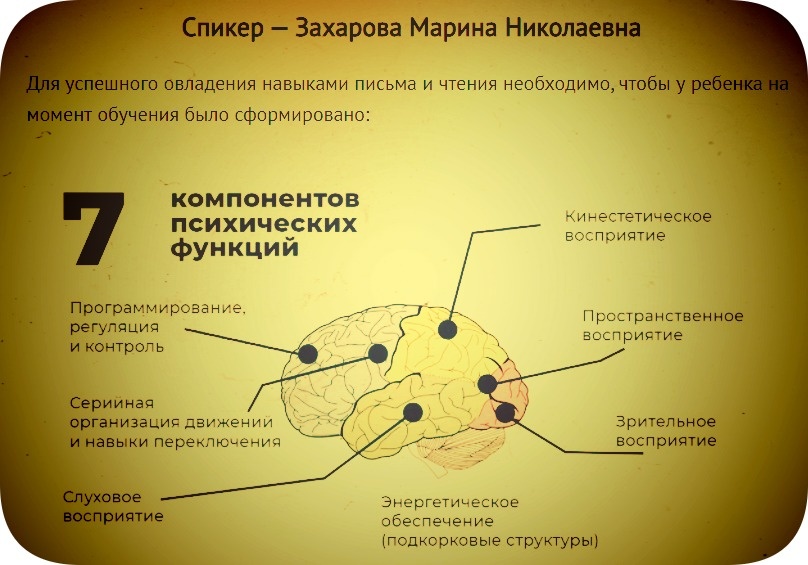 Из материала вебинара. Галерея из 2 фото.