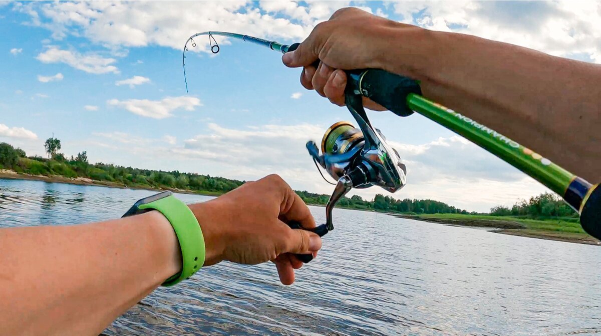 Работа спиннинга Champion Rods Foreman 762L. Старица р. Тавда, Тюменская область. Автор: Александр Ратников