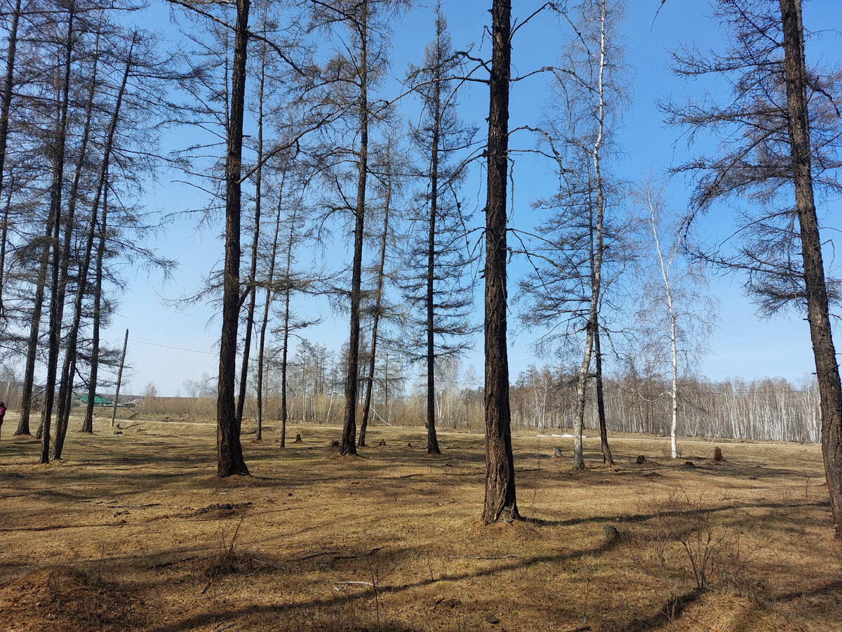 окрестности села. Фото автора