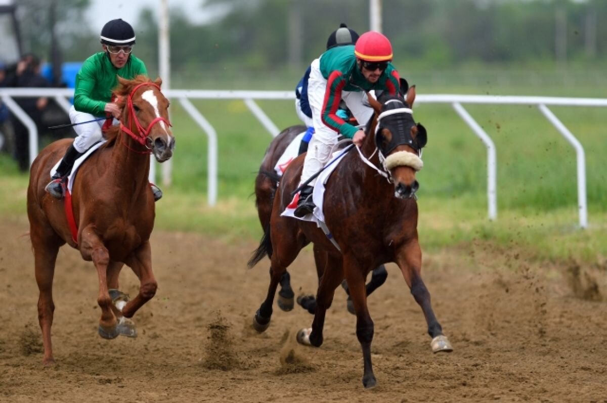    На Краснодарском ипподроме наградили победителя скакового сезона