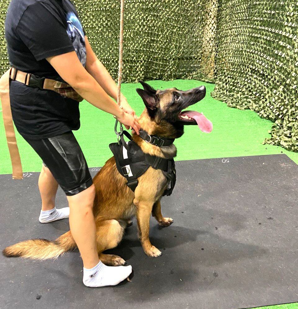 Занятия в спортзале