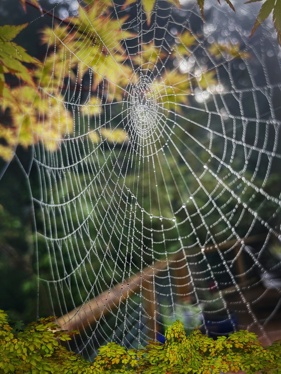 Фото Jan Canty на Unsplash.