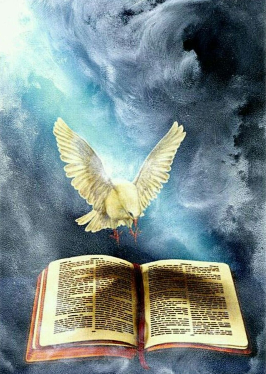 Фото взято из интернета. 