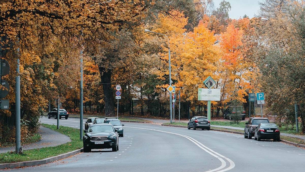    Фото: Роман Силетских / Вечерняя Москва