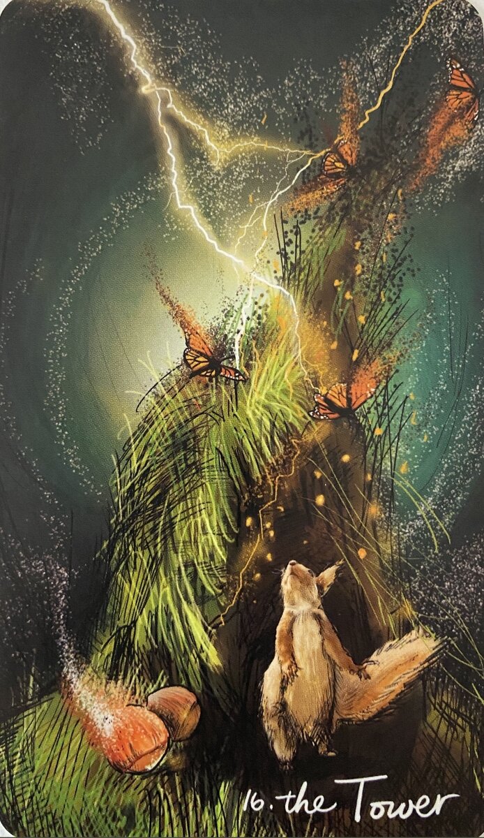 Рождённые 16 числа любого месяца