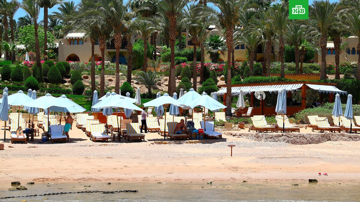    Фото: РИА Новости © 2023, Ахмед Махмуд