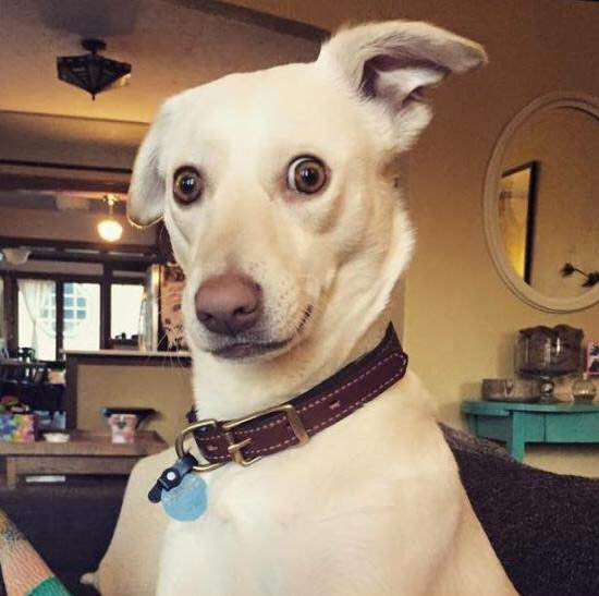 Наложение холодных компрессов