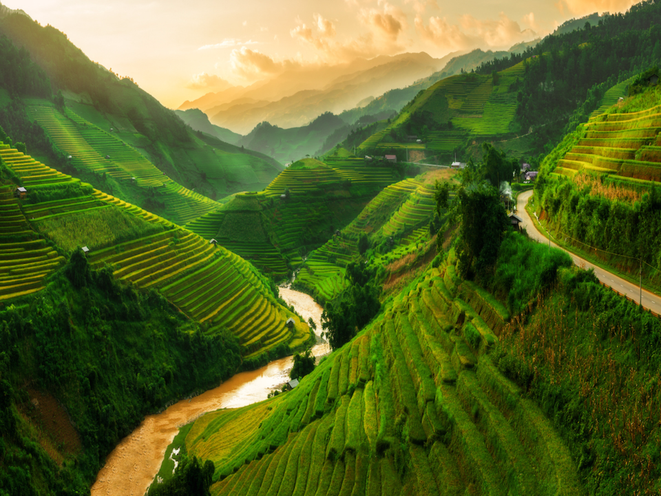 Mu Cang Chai, рисовые поля