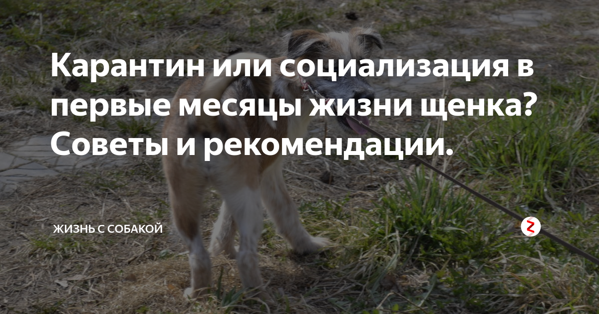 Подход к общению с людьми