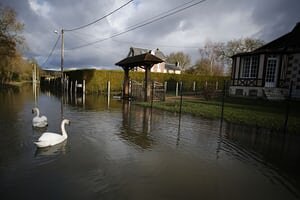 Saint-Aubin-lès-Elbeuf, Франция

Лебеди плавают на затопленной улице после того, как река Сена разрывала свои берегаФотография: Charly Triballeau / AFP / Getty Images
FacebookTwitterPinterest