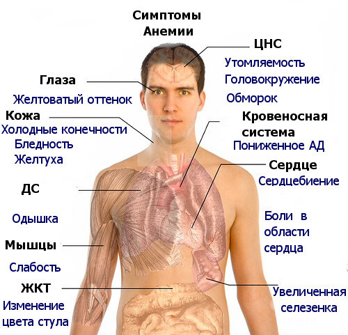 Головокружение: причины, симптомы и лечение в статье клиники «СОВА»