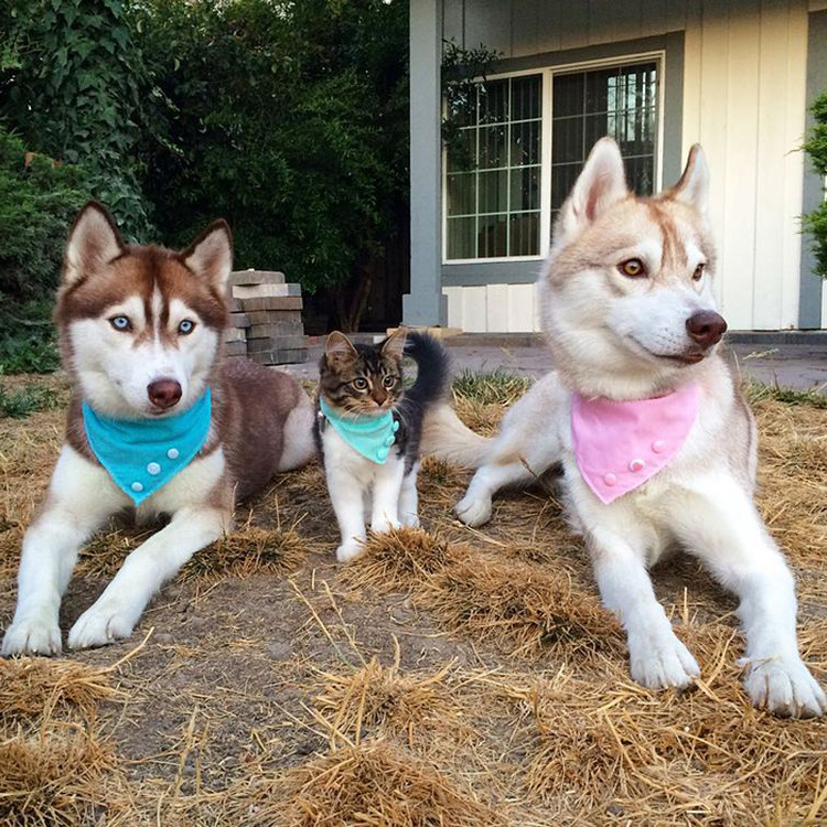 Источник: pinterest.com