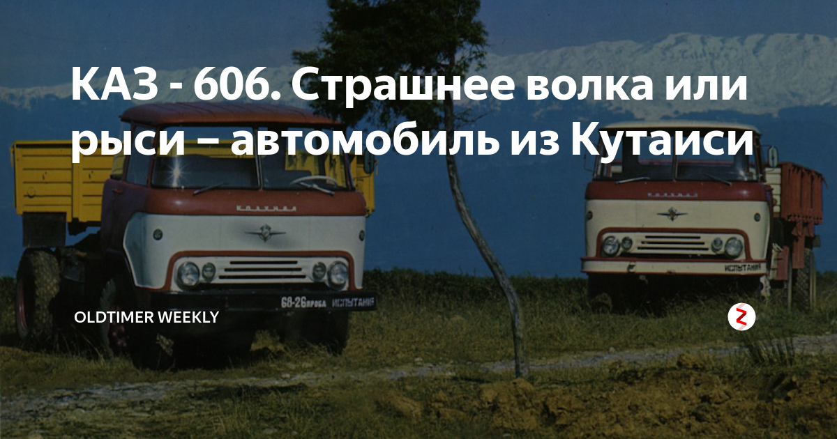 как правильно волка или волка