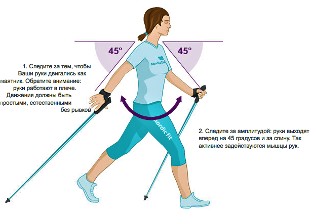 палки для скандинавской ходьбы