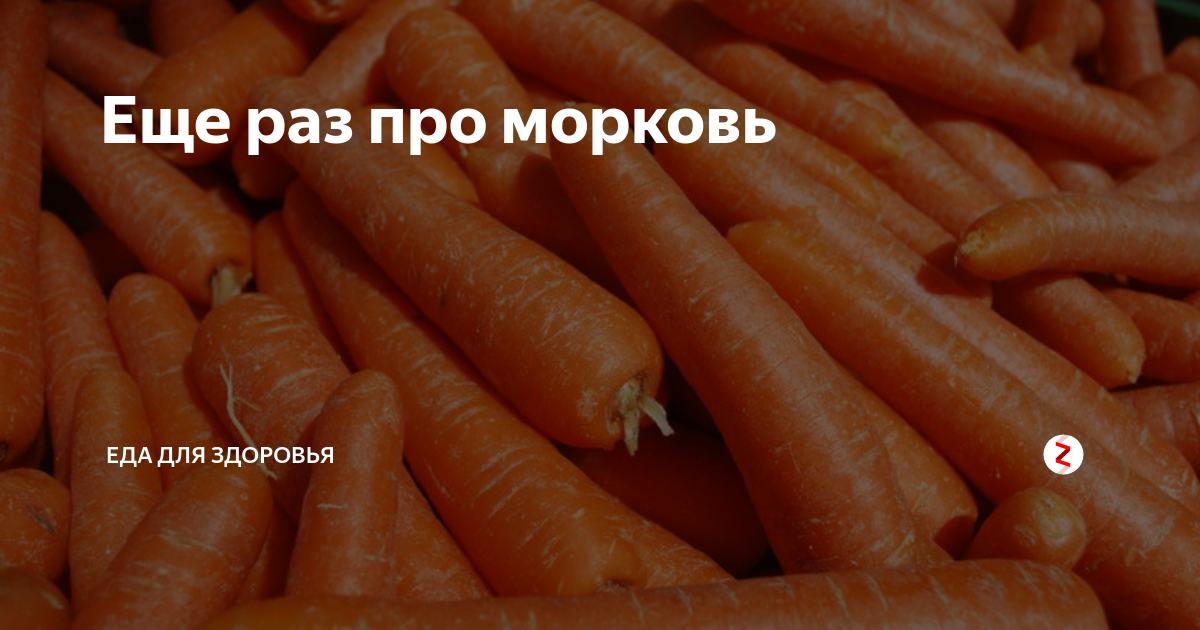 Морковь про новые каналы. Вика морковь про.