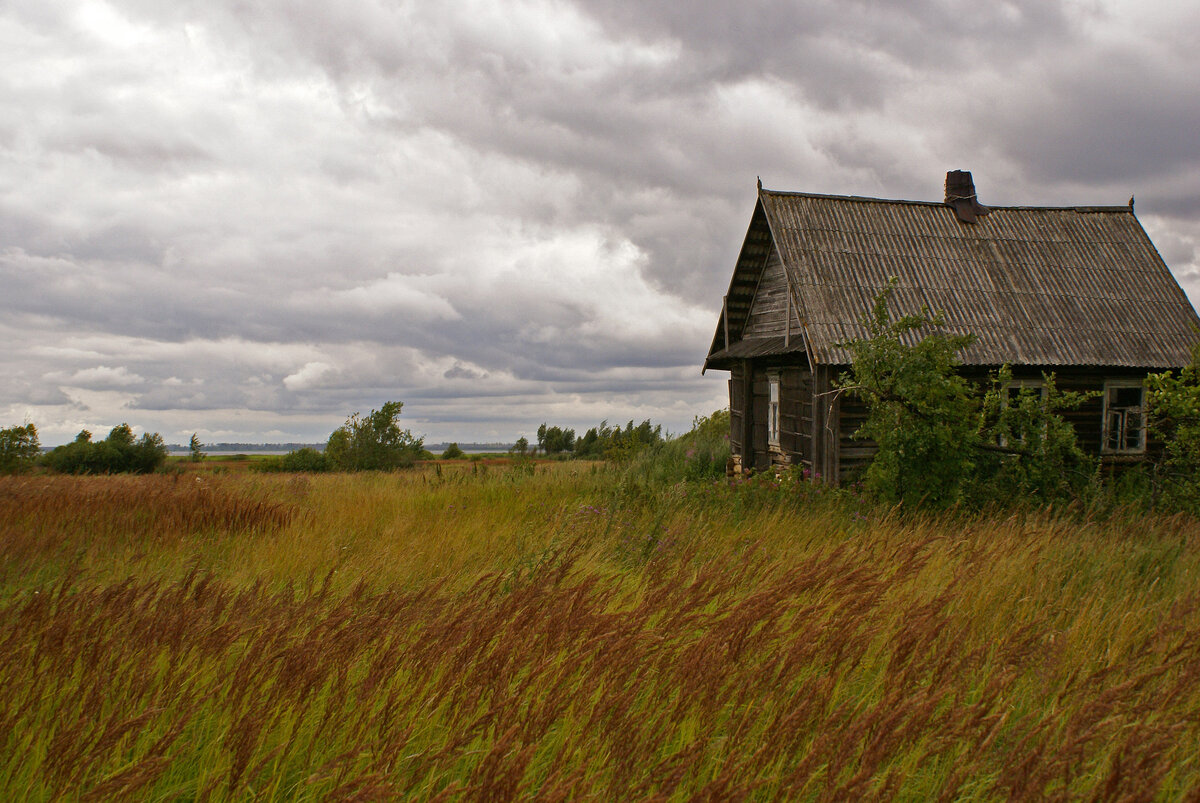 Деревня 6 читать