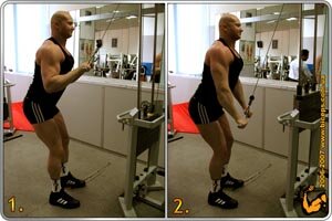 источник: biceps.com.ua