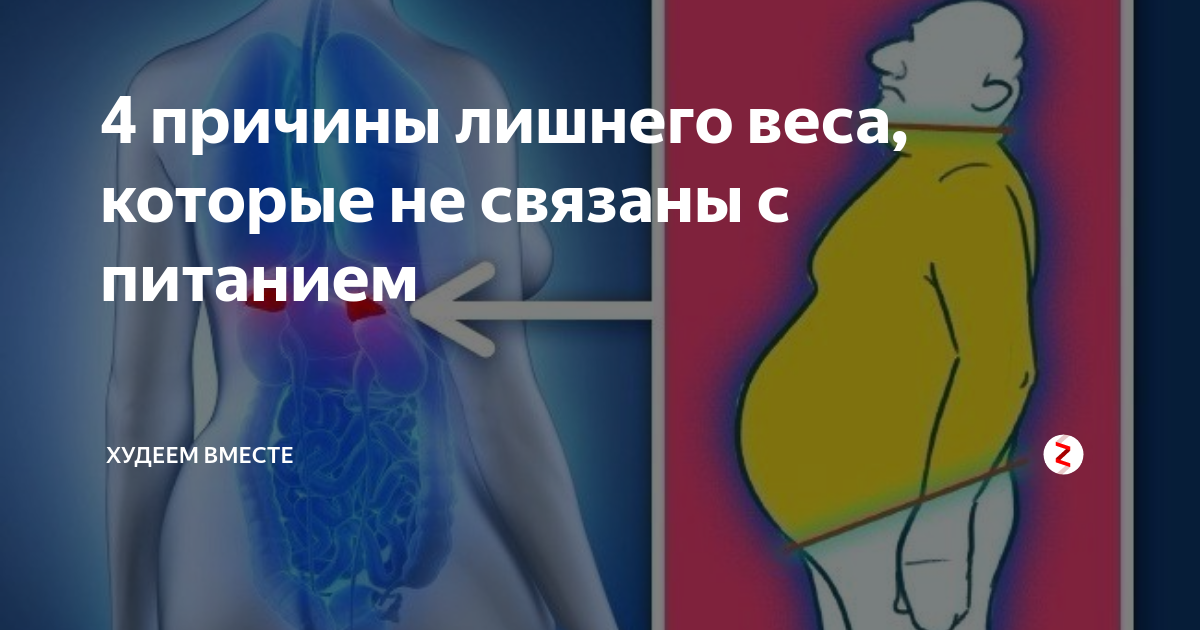 Правильно похудеть и не набрать вес снова: почему модные диеты тут не помогут