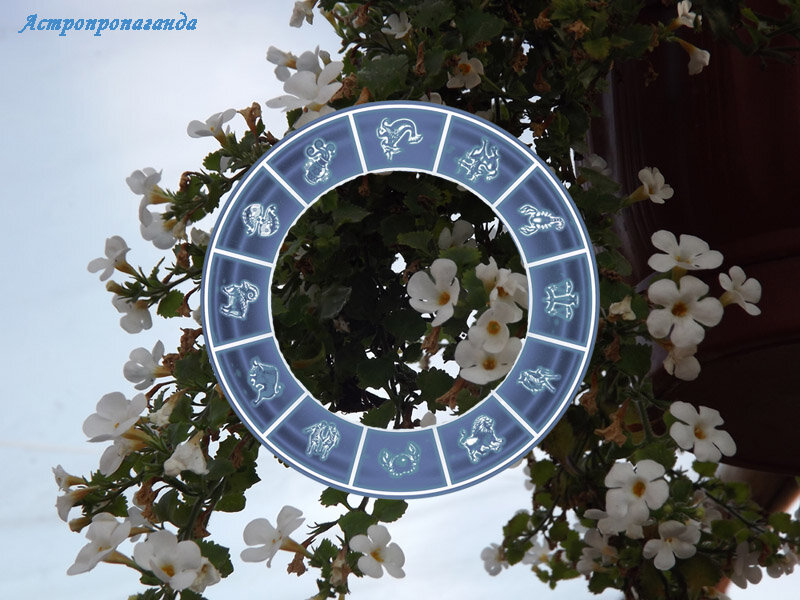 Коллаж Нины Стрелковой. 