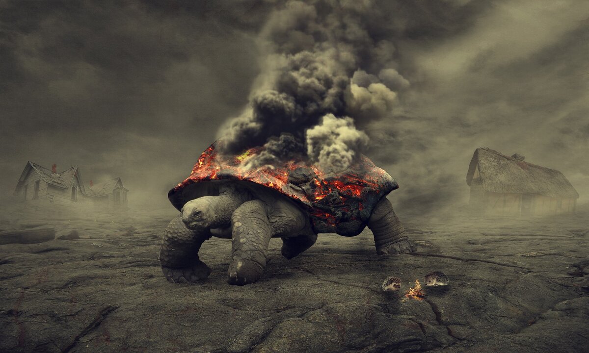 фото с сайта: pixabay.com