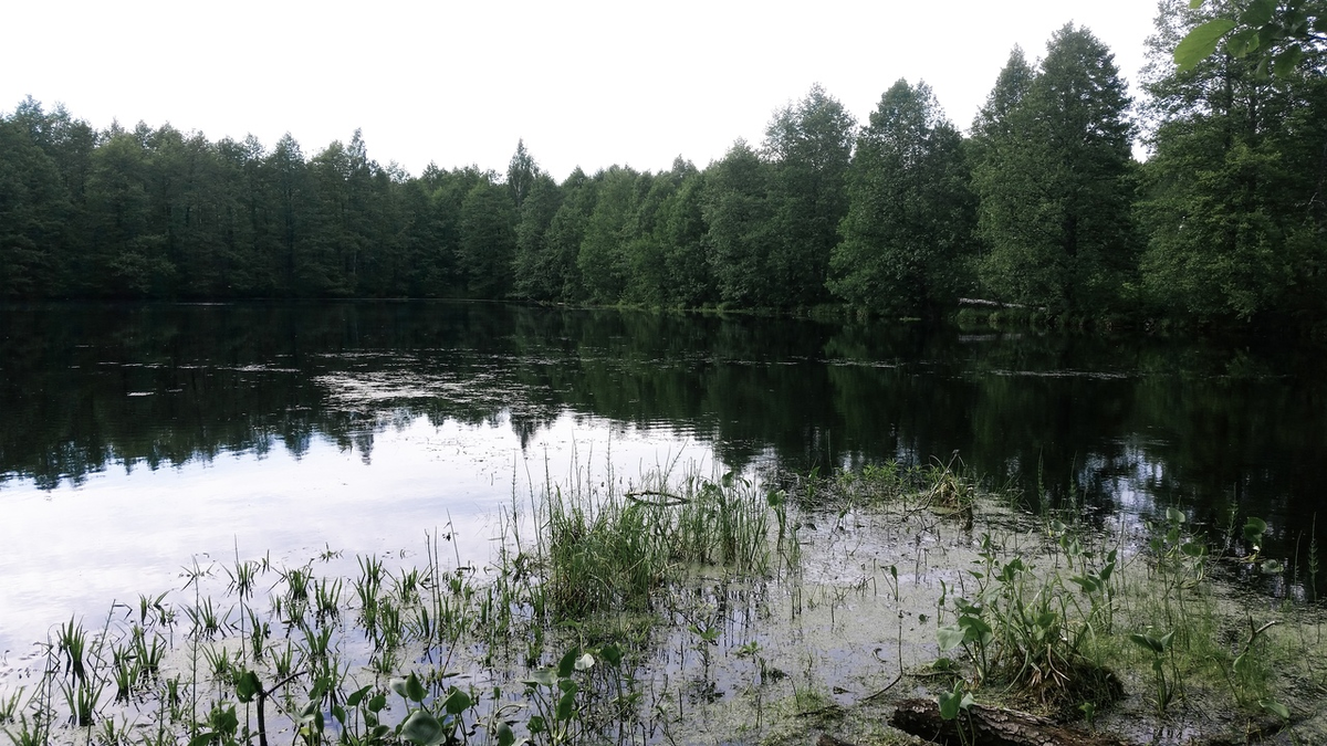 лесное озеро на пути к Шару